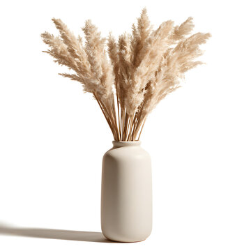 A serene arrangement of pampas grass in a minimalist beige vase, enhancing the elegant decor.