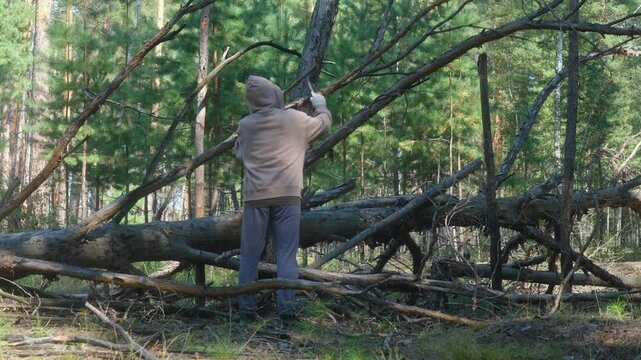Man in a hoodie clearing a path by sawing a fallen pine tree branch with a hand saw in a dense forest, showcasing resilience and survival skills amidst natural obstacles in the wilderness