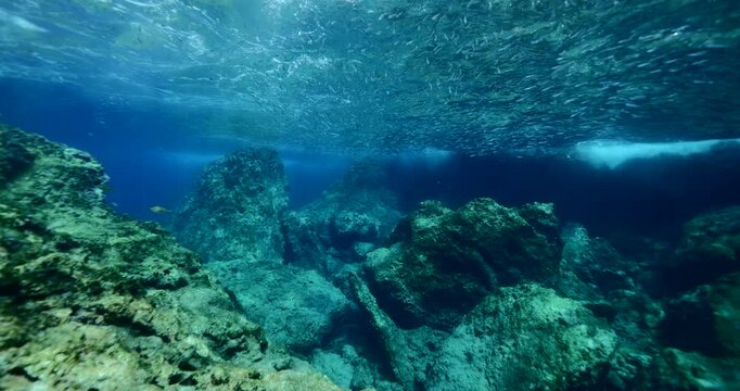 sun rays sun beam sun shine underwater fish around waves on rocks white foam slow motion ocean scenery with silverside fish school around