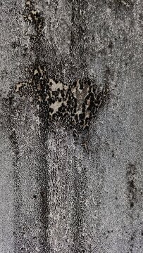 Weathered black concrete wall texture vertical background