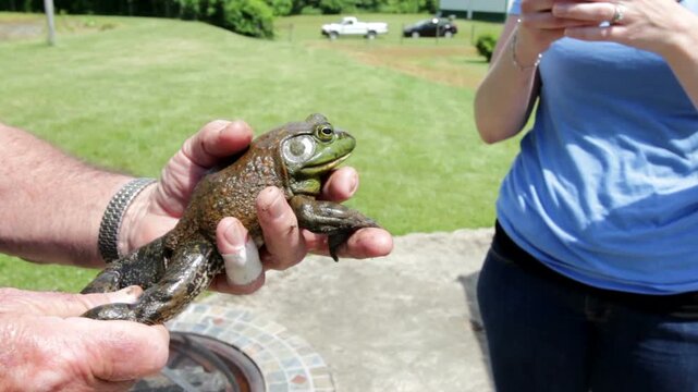 Man holding large frog in hand
