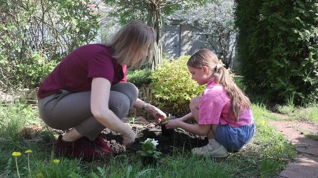 mother and child daughter plant flowers in the garden near the houme on spring day. Kid help mom work in the garden. slow life. enjoy the little things. 