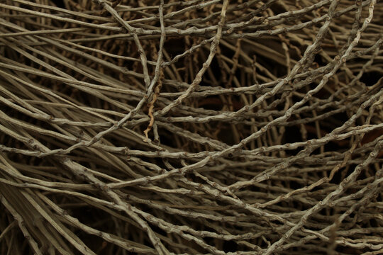 Intertwined dry thin tree branches creating a dense chaotic wooden pattern for rustic designs