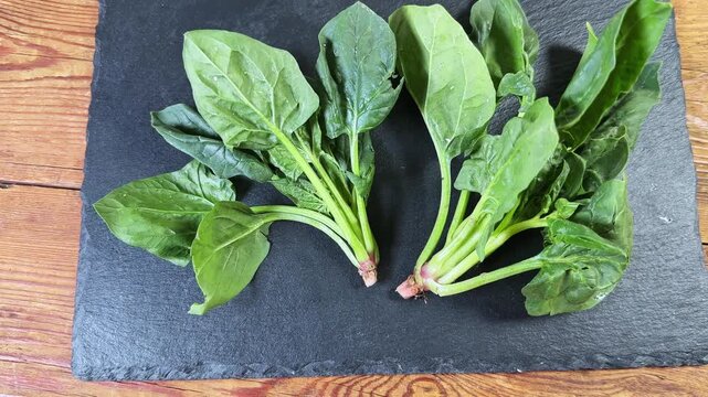 Fresh spinach stems on flat slate plate on rustic table