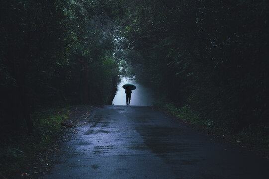A lone person walks along a rain-soaked forest road in Amboli, Western Ghats, Maharashtra, during the monsoon. Dense green vegetation, mist, and soft diffused light.