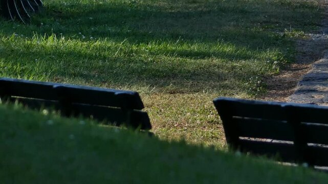 A park bench with long shadows stretching across the grass in the afternoon sun.

