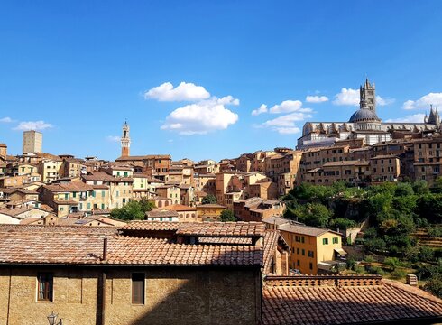 Picturesque Siena Cityscape Terracotta Rooftops Duomo