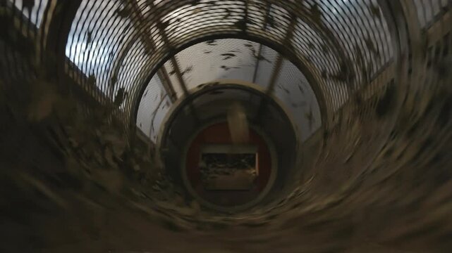 Inside view of rotating industrial cylindrical sieve filtering dried bay laurel leaves in herb processing machinery