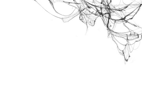 Tangled spider's web on isolated white background for Halloween design. Black cobweb for applying in multiply blend mode on any concept