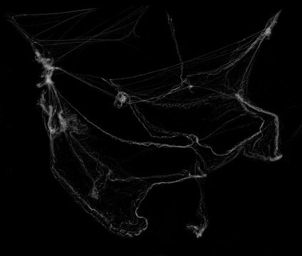 Tangled spider's web on isolated white background for Halloween design. Black cobweb for applying in multiply blend mode on any concept