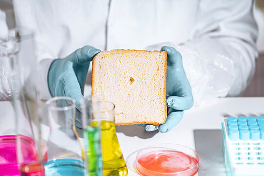 Bread, laboratory, scientific food analysis with gloved hands testing composition for quality control, GMO screening, artificial additives and product safety checks.