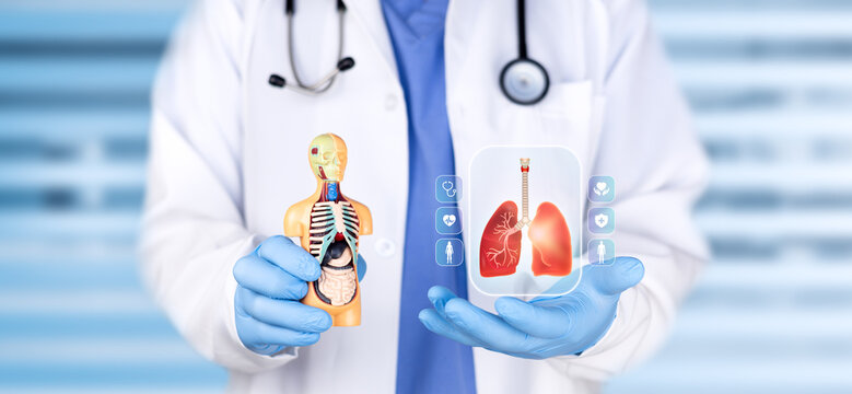 Pulmonologist analyzing a vector graphic of the respiratory system and lungs. Concept of pulmonology, medical diagnosis, and lung cancer prevention. Bokeh background.