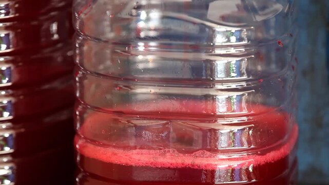 Pouring fresh red turnip juice or fermented beverage into large plastic bottle using funnel