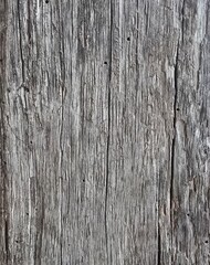 Fototapeta premium old wood texture