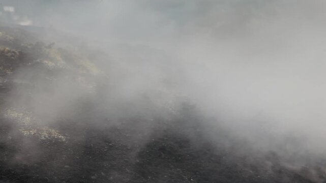 Thick white smoke and hot steam rising from burning charcoal kiln mound in nature