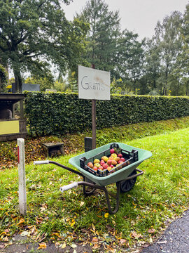 A wheelbarrow filled with fresh apples stands beside a handwritten &ldquo;GRATIS&rdquo; sign outside a Dutch home, illustrating generosity, local produce and community sharing.