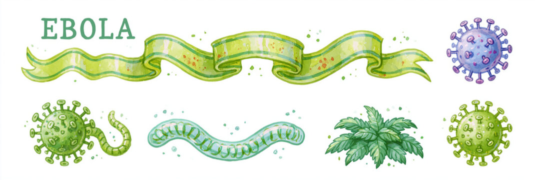 Colorful illustrations of Ebola virus and related elements with green tones.