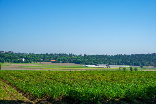 Jel&oslash;y, Norway agricultural landscape with green fields and greenhouses