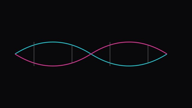 Abstract neon sine wave animation: pulsing cyan and magenta light lines on 4k black background, for modern tech, and science visuals
