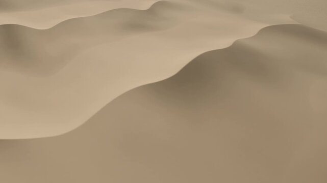 Sand dunes extend across a vast area in a desert with soft curves and waves. The warm sunlight casts gentle shadows, creating a natural pattern on the sandy surface.