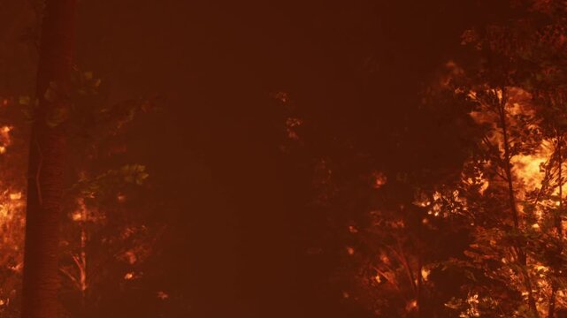 A large fire engulfs trees in a forest at night. The flames create a bright glow against the dark sky. Smoke billows as the fire grows. This scene shows the impact of wildfires on the environment.
