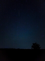night sky with stars © ÐÐ°Ð½Ñ ÐÐ¾Ð²Ð°Ð»Ñ