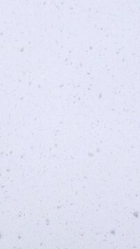 Snow Falling against White Winter Sky
