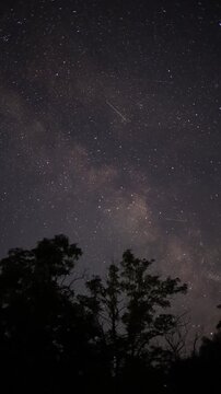 Night Sky Milky Way Timelapse
