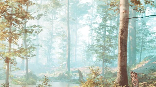 Sunlight filters through tall trees in a forest. The ground shows patches of grass and moss. A small body of water reflects the trees. Mist hangs in the air during early morning.