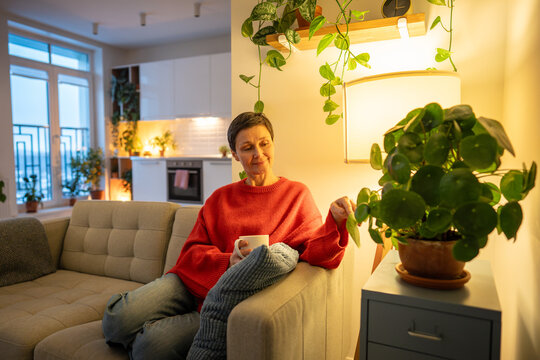 Positive relaxed senior woman enjoying slow life and cozy time at home, sitting on couch with mug of drink, smiling touching leaves of Pilea houseplant. Cheerful female resting on sofa in living room.