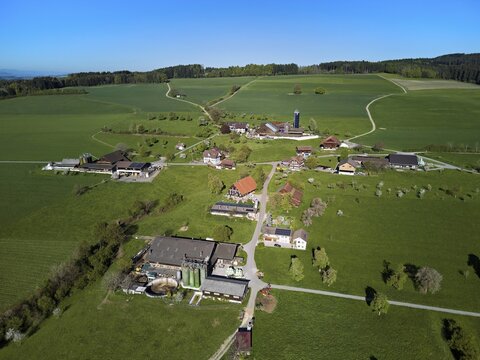 Farms in the hamlet of Holderstock, Sins, Freiamt, Canton of Aargau, Switzerland