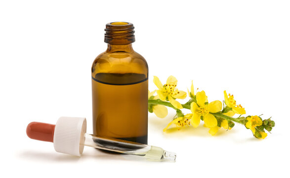 Agrimony flowers with glass dropper bottle, herbal medicine concept