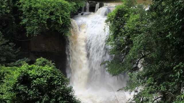 The beautiful nature backdrop of the Haew Narok waterfall in Khao Yai National Park is a stunning feature of the forest and a popular destination for tourists.