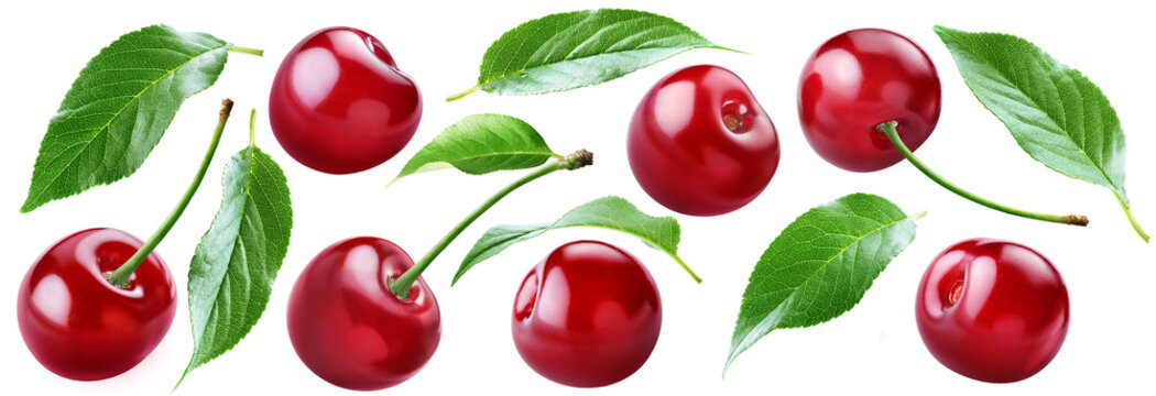 Collection of whole red cherries with assorted cherry leaves of different shapes isolated on transparent background.