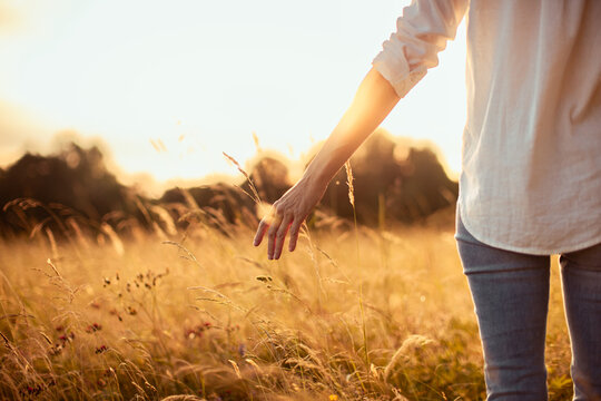 Peaceful Woman Touching Tall Grass in Golden Meadow at Sunset