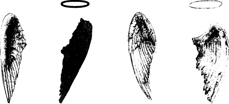 Grunge black and white fallen angel stencil set of single wings and halos for gothic design, poster and tattoo elements for background use