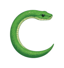 Naklejka premium Green snake shaped like a letter curve on clean white background, snake, green, reptile, curve, animal, scales, serpent, isolated,