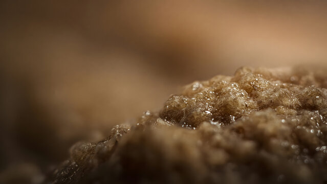 Extreme macro of rich tactile surface with natural irregularities, soft moisture reflections and creamy bokeh