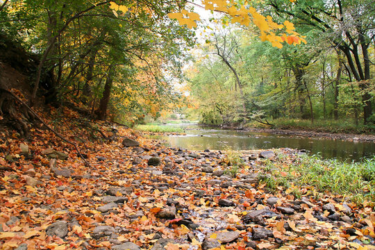 Hickory Creek Pilcher Park Joliet Illinois