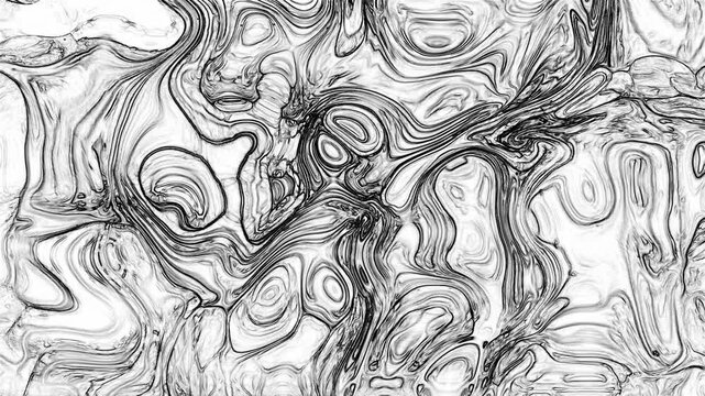 Abstract Fluid Art Showing Black Ink Mixing In White Liquid. Thin Lines Create A Monochrome Pattern With Organic, Fluid Shapes.