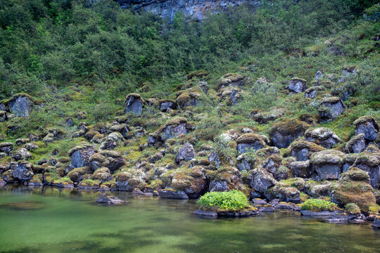 Moss-Covered Lava Boulders Along a Still River, North Iceland