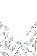 Watercolor eucalyptus branches border at bottom. Sage green leaves frame with copy space. Botanical design for wedding invitations, greeting cards, banners. Decoration isolated on white background © Oksana