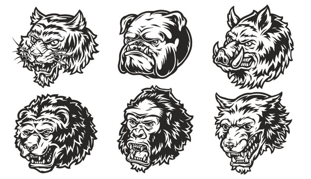 vector illustration