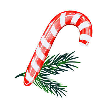 Classic Christmas candy cane with red and white stripes, leaning against a fresh green pine or fir branch. 