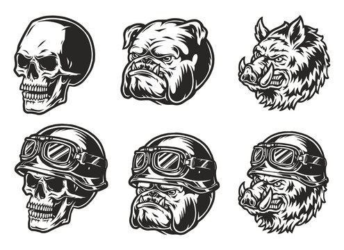 vector illustration