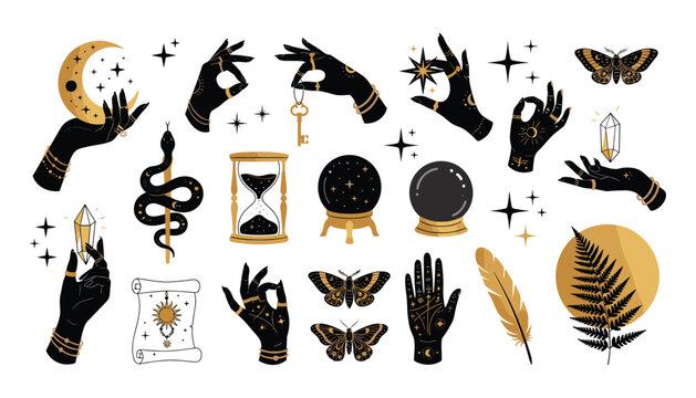 Mystical celestial vector elements set featuring witch hands crystal magic ball snake crescent moon stars moth and occult symbols