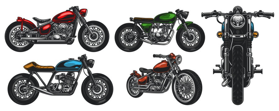 vector illustration