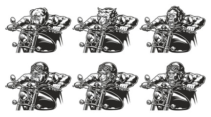 Naklejka premium vector illustration