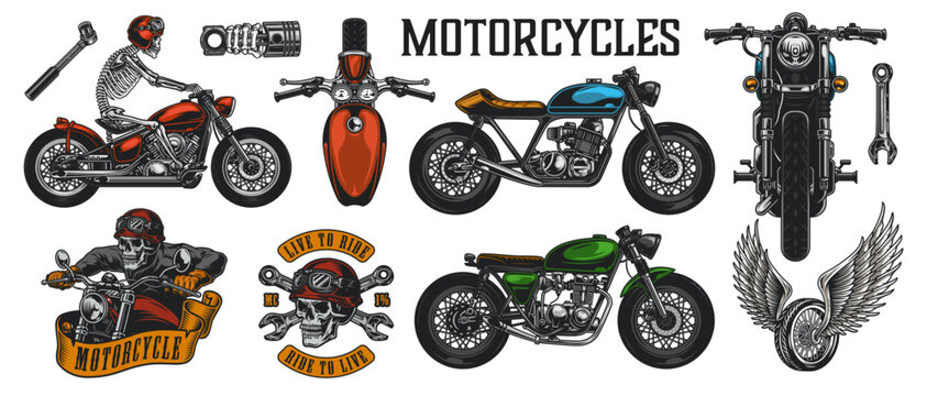 vector illustration