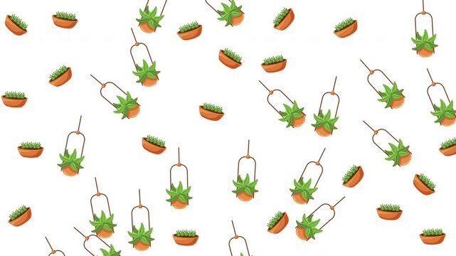 Seamless Pattern of Various Green Potted Plants and Hanging Succulents on a White Background